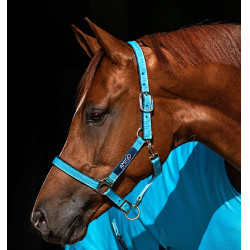 Halster Horseware Amigo