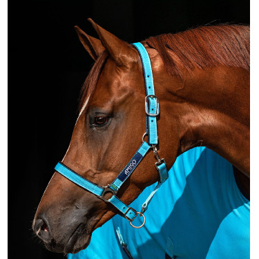 Halster Horseware Amigo Halster Horseware Amigo