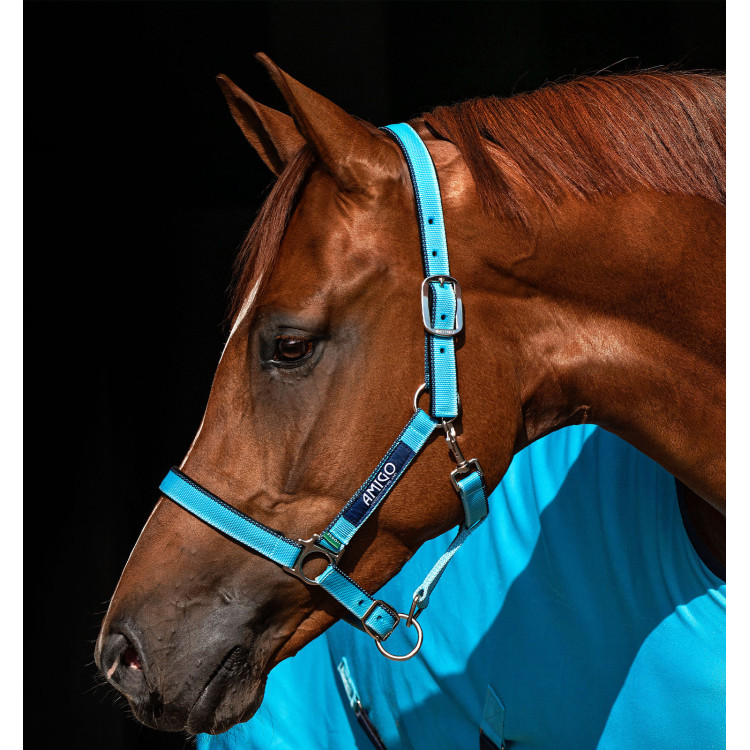 Halster Horseware Amigo
