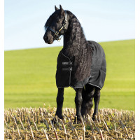 Boxdeken Horseware Rambo 100g Zwart / zwart / zilver