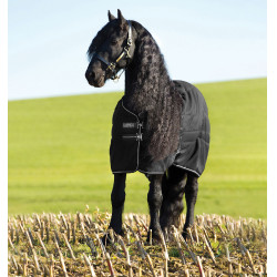 Boxdeken Horseware Rambo 100g Boxdeken Horseware Rambo 100g
