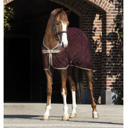 Droogdeken Net Horseware Amigo 0g Droogdeken Net Horseware Amigo 0g