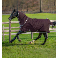 Horseware Amigo Hero Ripstop Plus deken met halsstuk 200g Vijg / zilver Bordeaux Horseware Amigo Hero Ripstop Plus deken met halsstuk 200g Vijg / zilver Bordeaux