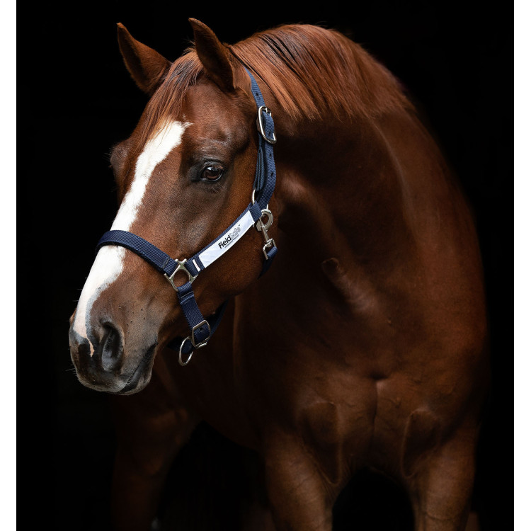 Veiligheidshalster Horseware Field Safe