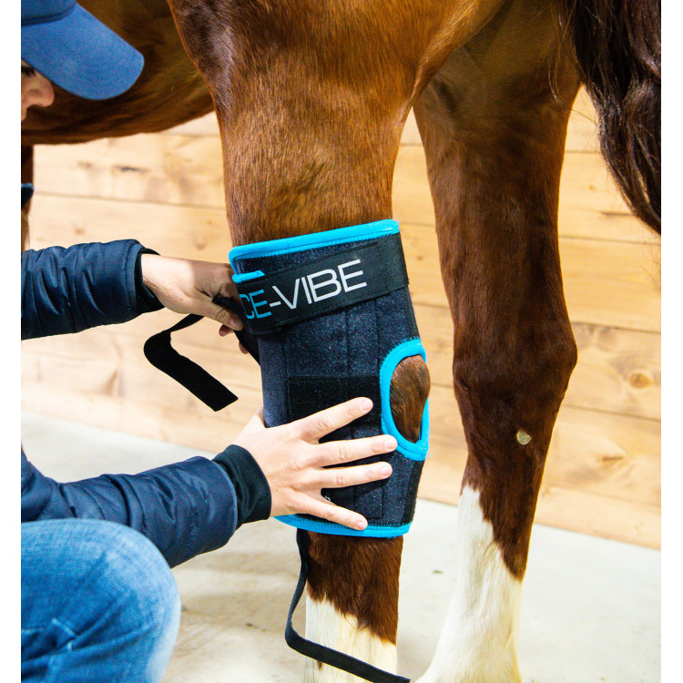 Beschermers Horseware Ice-Vibe Beschermers Horseware Ice-Vibe
