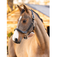 Poets halster LeMieux van leer Bruin