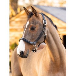 Poets halster LeMieux van leer Zwart