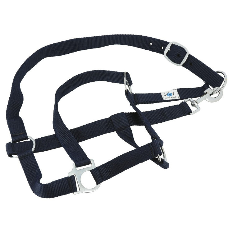 Set compleet Riding World Set compleet Riding World
