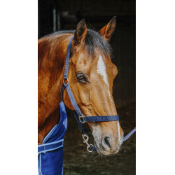 Set compleet Riding World Set compleet Riding World
