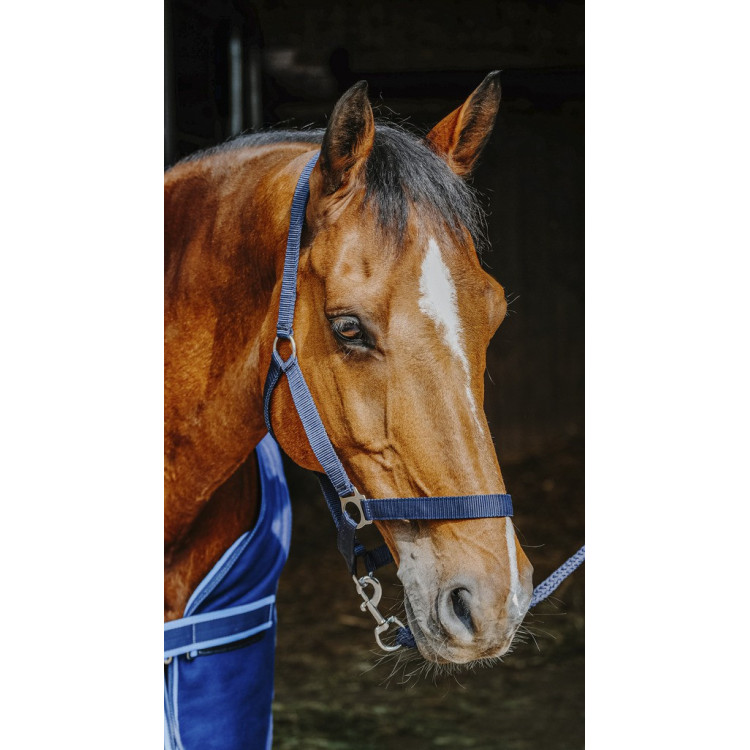 Set compleet Riding World Set compleet Riding World