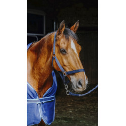 Set compleet Riding World Set compleet Riding World