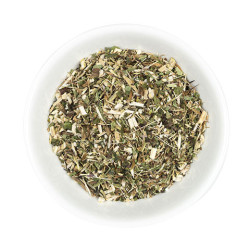 Echinacea hele plant Hilton Herbs Echinacea hele plant Hilton Herbs