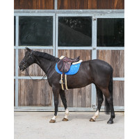 Tapijt GEM Love Blauw Frankrijk Tapijt GEM Love Blauw Frankrijk