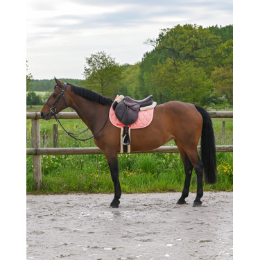 Tapijt GEM Love Koraal Rood