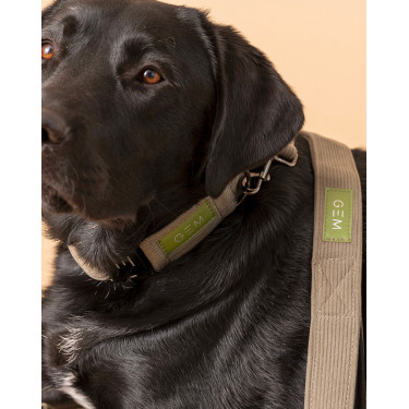 Pack Halsband & Lijn GEM Kaki Groen