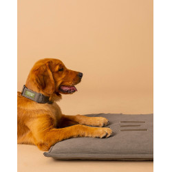Tapis pour chien GEM 60 x 80 cm Kaki