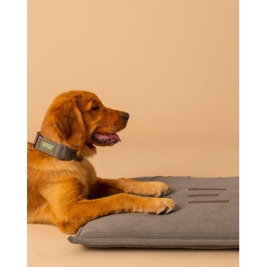 Tapis pour chien GEM 60 x 80 cm Kaki