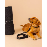 Hondenmat GEM 60 x 80 cm Kaki Groen