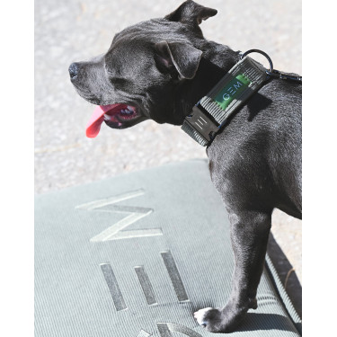 Hondenmat GEM 40 x 60 cm Kaki Groen