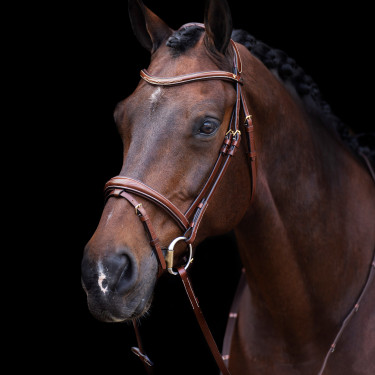 Bridon HV Polo Legacy Bruin Bridon HV Polo Legacy Bruin