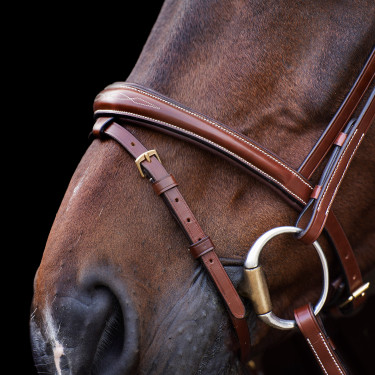 Bridon HV Polo Legacy Bruin Bridon HV Polo Legacy Bruin