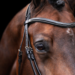 Bridon HV Polo Legacy Zwart Bridon HV Polo Legacy Zwart