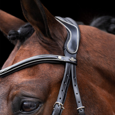 Bridon HV Polo Legacy Zwart
