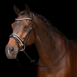 Bridon HV Polo Legacy deluxe Zwart wit
