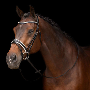 Bridon HV Polo Legacy deluxe Zwart wit