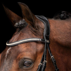 Bridon HV Polo Legacy deluxe Zwart wit