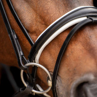 Bridon HV Polo Legacy deluxe Zwart