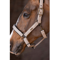 Halster HV Polo Francis Halster HV Polo Francis