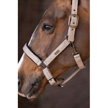Halster HV Polo Francis Halster HV Polo Francis