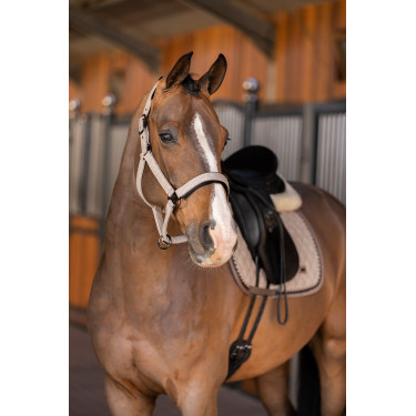 Halster HV Polo Francis Halster HV Polo Francis