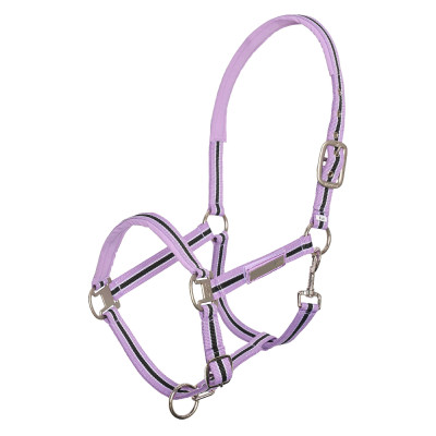 Licol HV Polo Classic Stripe Violet
