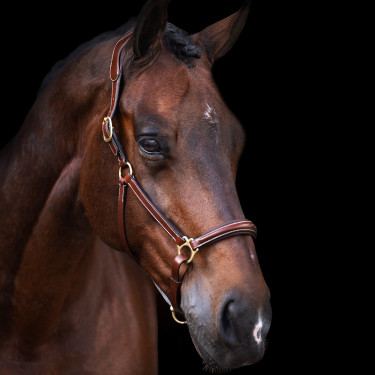 Halster HV Polo Legacy Halster HV Polo Legacy