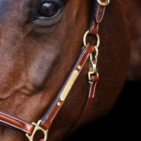 Halster HV Polo Legacy Bruin