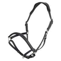 Halster HV Polo Legacy Zwart