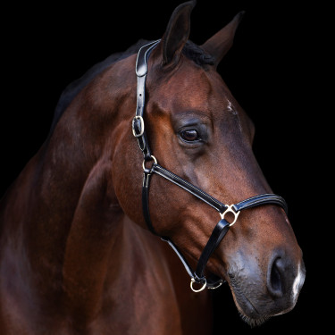 Halster HV Polo Legacy Zwart Halster HV Polo Legacy Zwart