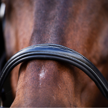 Halster HV Polo Legacy Zwart Halster HV Polo Legacy Zwart