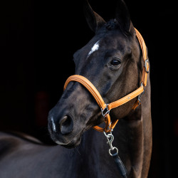 Halster HV Polo Leer Soft Halster HV Polo Leer Soft