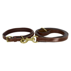 Halsband van de hond HV Polo Legacy Bruin