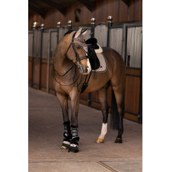 HV Polo Francis dressuurgamaschen HV Polo Francis dressuurgamaschen