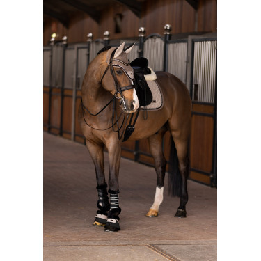 HV Polo Francis dressuurgamaschen HV Polo Francis dressuurgamaschen