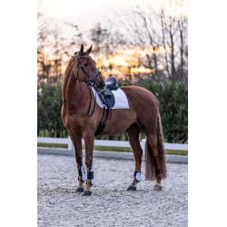 Imperial Riding Lovely beenkappen Imperial Riding Lovely beenkappen