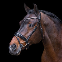 Bridon Impérial Riding Olympia Zwart zilver Bridon Impérial Riding Olympia Zwart zilver
