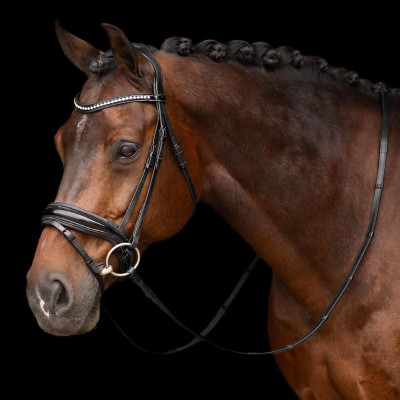 Bridon Impérial Riding Athena Zwart