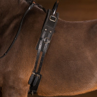 Voltigesingel Imperial Riding Vito Zwart