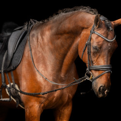 Elastische bijzet Imperial Riding Elastische bijzet Imperial Riding