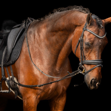 Elastische bijzet Imperial Riding Elastische bijzet Imperial Riding
